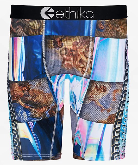 Ethika Mens Hol'e Grail Boxer Briefs