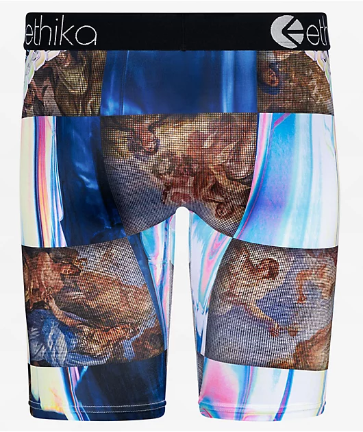 10161-ethika-mens-hol-e-grail-boxer-briefs-2.webp Ethika Mens Hol'e Grail Boxer Briefs
