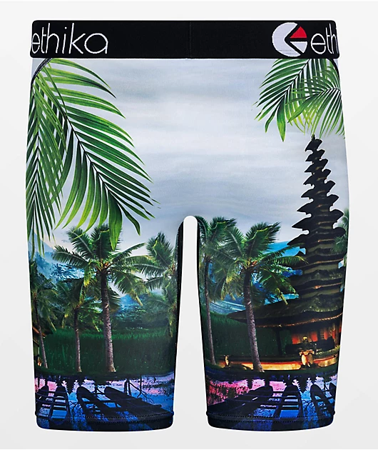 Ethika BMR Primal Boxer Briefs