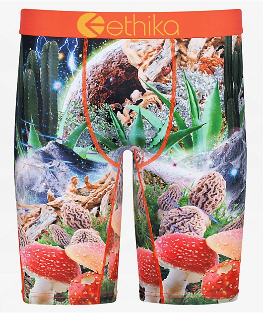 Ethika Trippy Dippy Orange Boxer Briefs