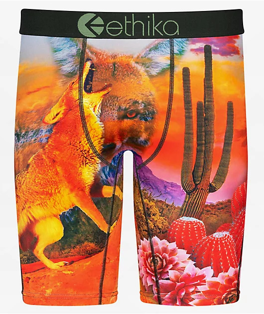 Ethika Desert Dog Boxer Briefs