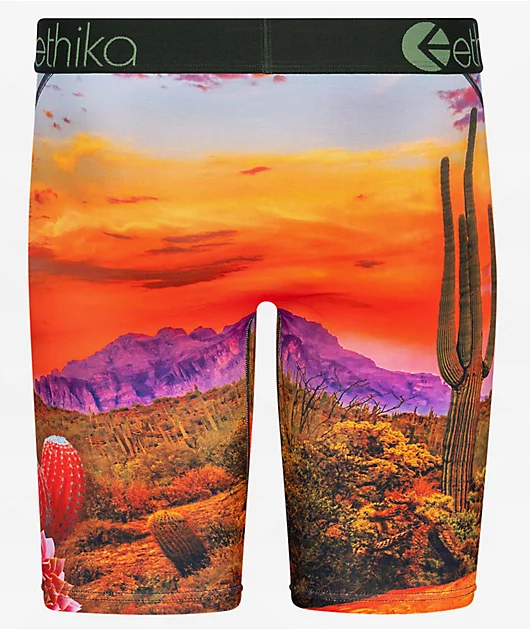 Ethika Desert Dog Boxer Briefs