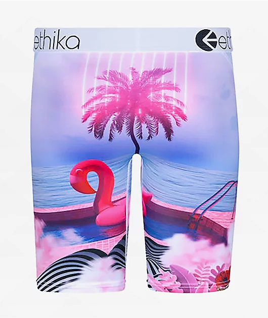 Ethika Kids On Holiday Boxer Briefs