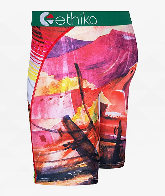 11548-ethika-cinco-boxer-briefs-3.webp Ethika Cinco Boxer Briefs