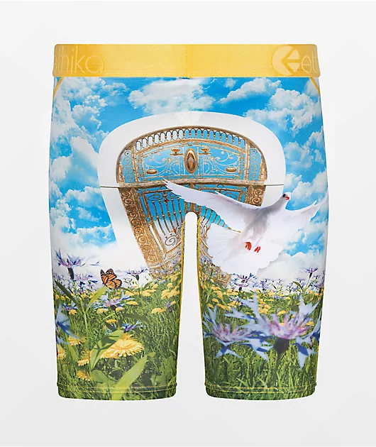 Ethika Kids' Win To Enter Blue Boxer Briefs