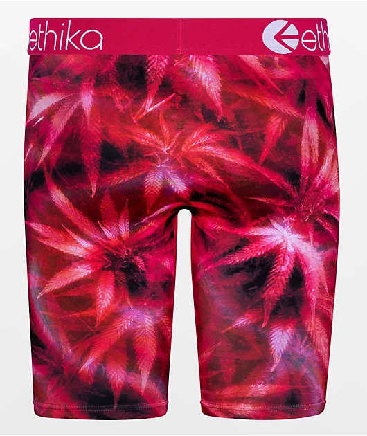 Ethika Bomber Schweed Boxer Briefs